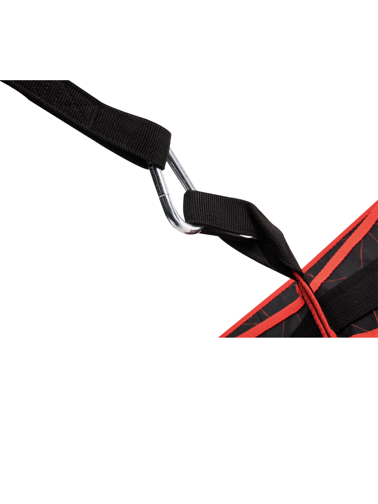 Ab Straps Fitness Hanging Sling WS6476