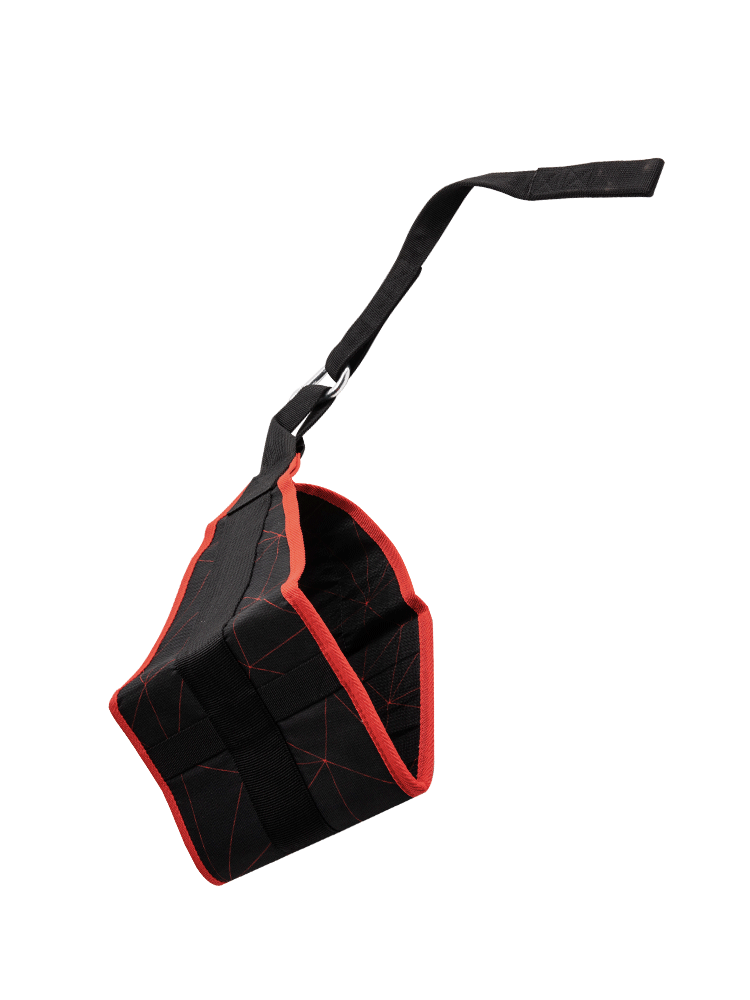 Ab Straps Fitness Hanging Sling WS6476