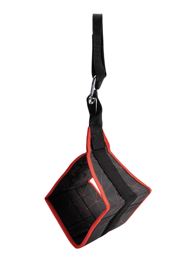 Ab Straps Fitness Hanging Sling WS6476