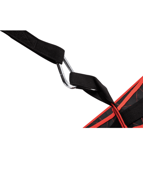 Ab Straps Fitness Hanging Sling WS6476