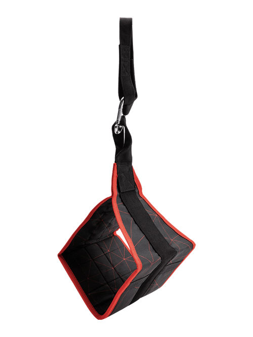 Ab Straps Fitness Hanging Sling WS6476