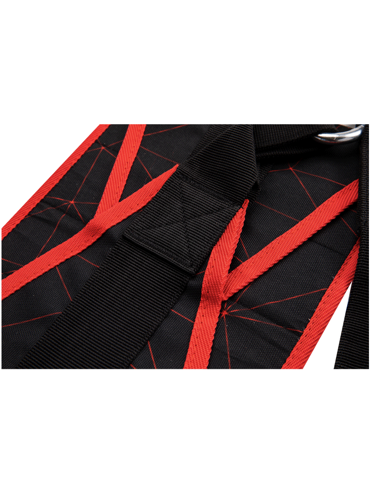 Ab Straps Fitness Hanging Sling WS6476