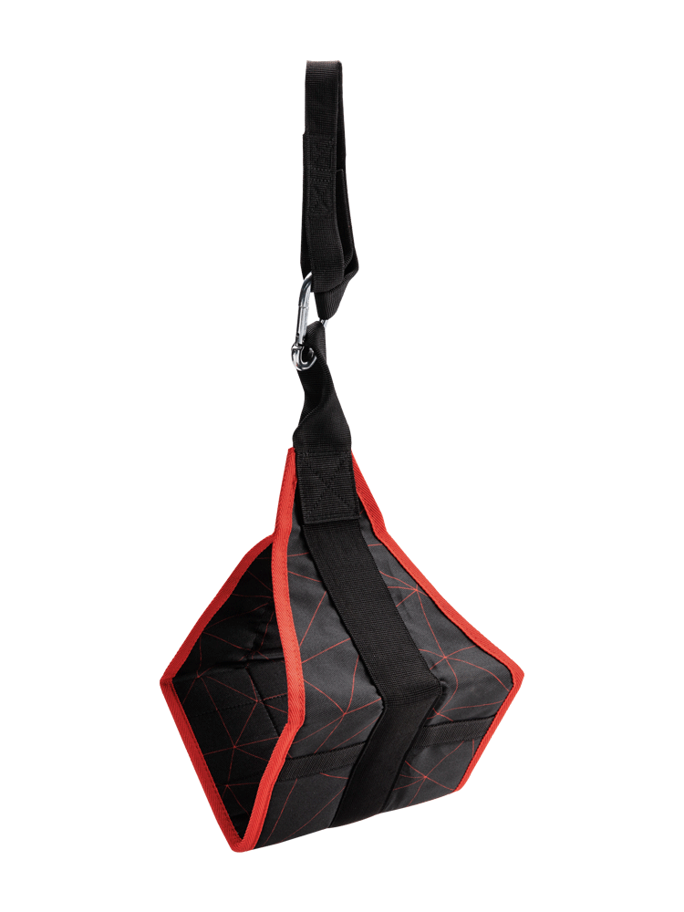 Ab Straps Fitness Hanging Sling WS6476